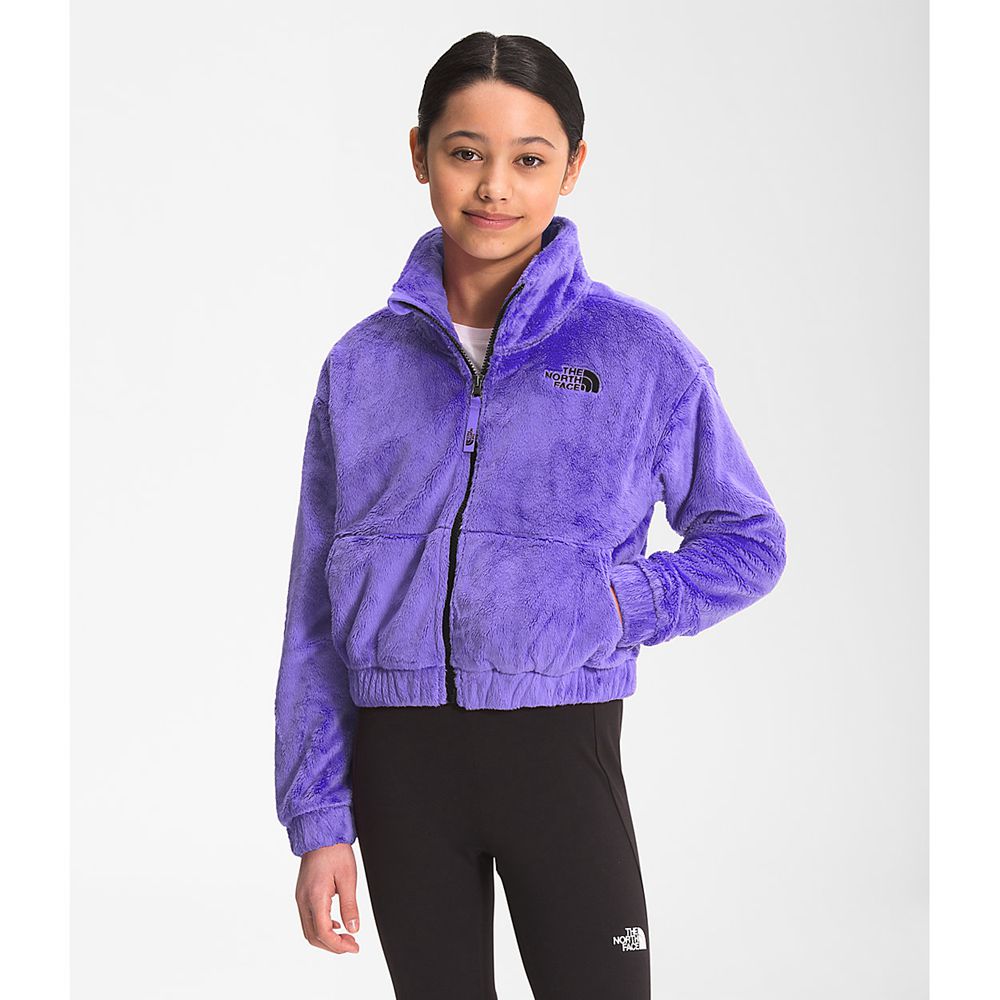 The North Face Full Zip Jacket Girls Australia - The North Face Osolita Purple (NDQ-632971)